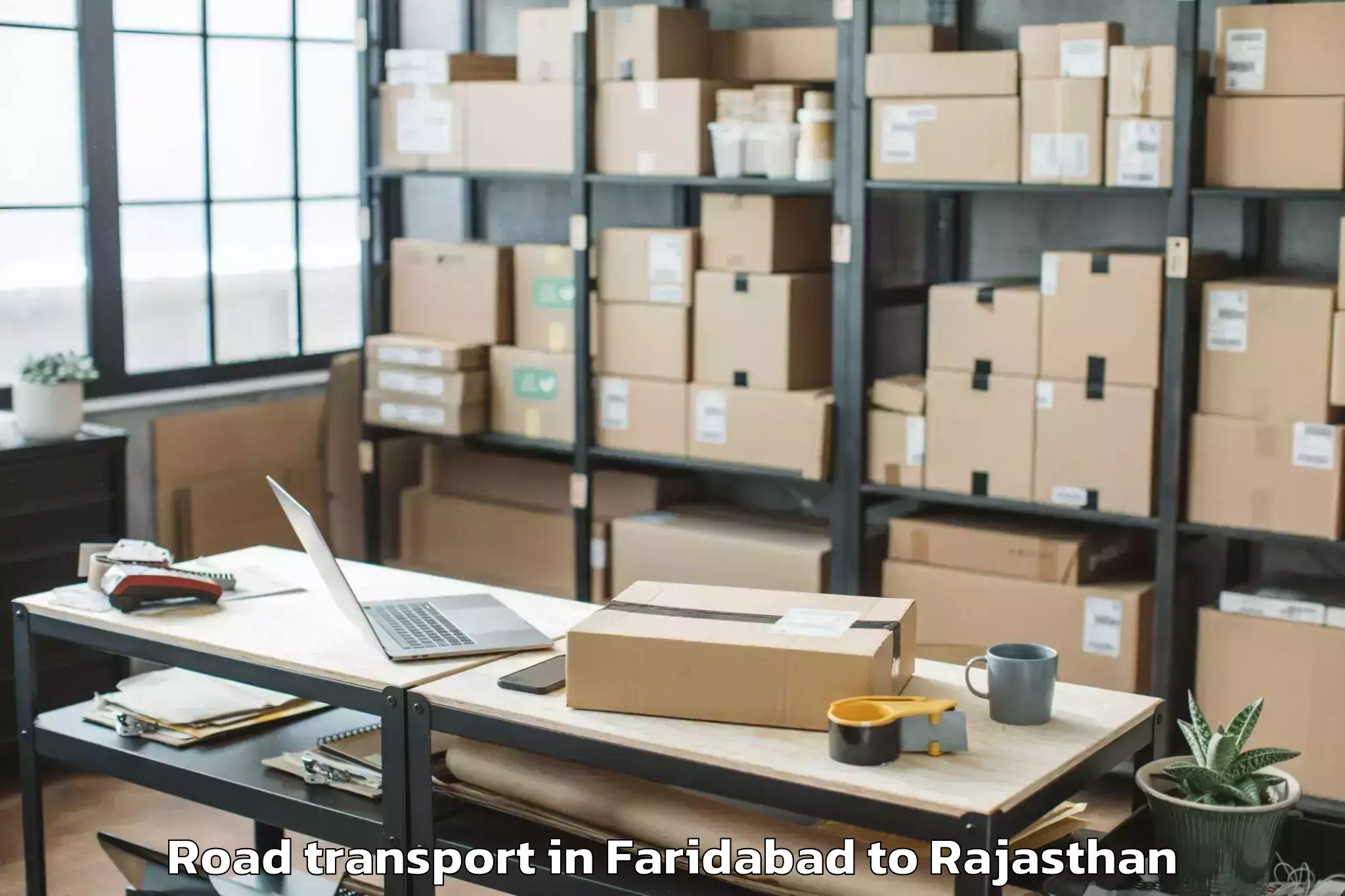 Professional Faridabad to Chittorgarh Road Transport